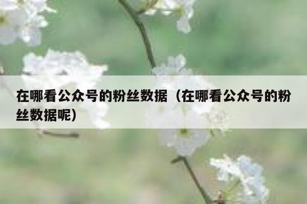 在哪看公众号的粉丝数据（在哪看公众号的粉丝数据呢） 第1张
