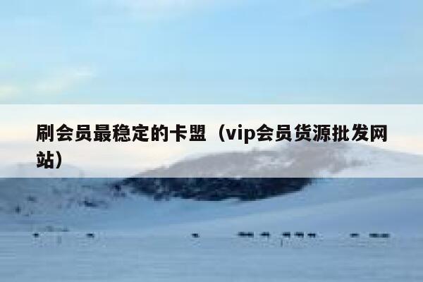 刷会员最稳定的卡盟（vip会员货源批发网站） 第1张