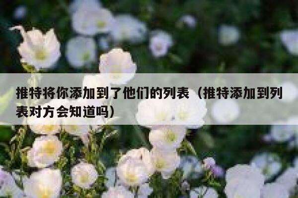 推特将你添加到了他们的列表（推特添加到列表对方会知道吗） 第1张
