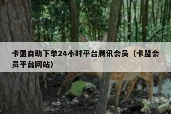 卡盟自助下单24小时平台腾讯会员（卡盟会员平台网站） 第1张