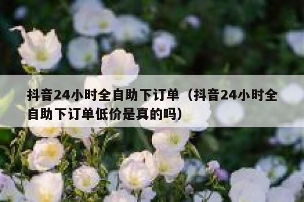 抖音24小时全自助下订单（抖音24小时全自助下订单低价是真的吗） 第1张