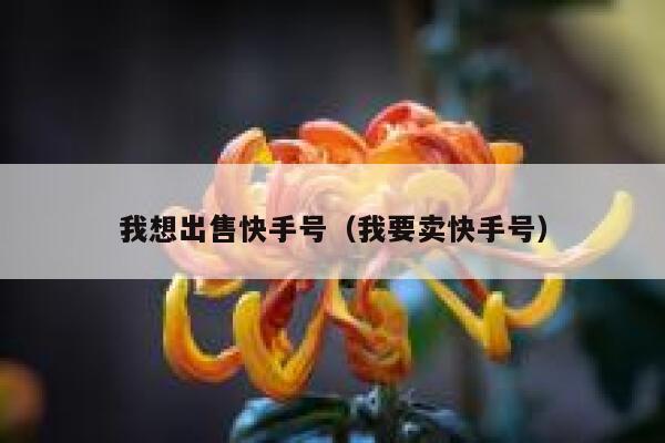 我想出售快手号（我要卖快手号） 第1张