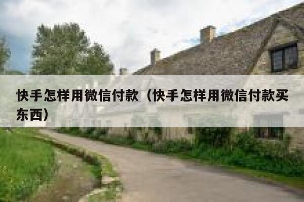 快手怎样用微信付款（快手怎样用微信付款买东西） 第1张
