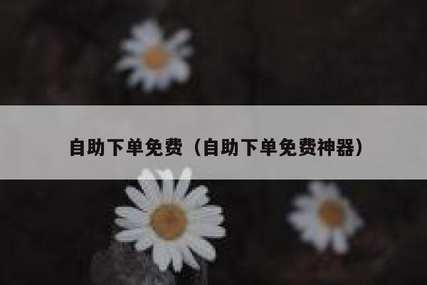 自助下单免费（自助下单免费神器） 第1张