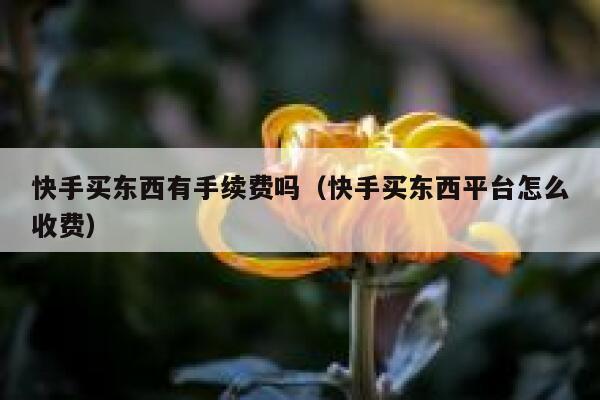 快手买东西有手续费吗（快手买东西平台怎么收费） 第1张