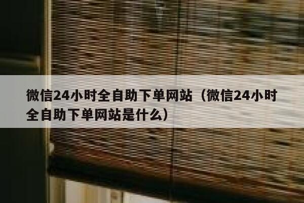 微信24小时全自助下单网站（微信24小时全自助下单网站是什么） 第1张