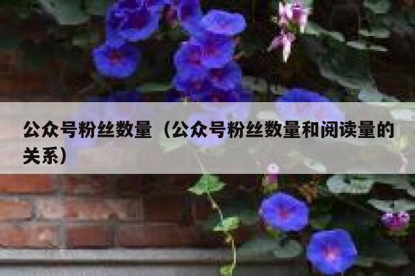 公众号粉丝数量（公众号粉丝数量和阅读量的关系） 第1张
