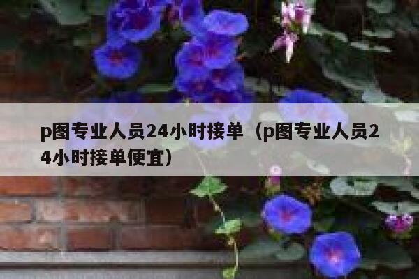 p图专业人员24小时接单（p图专业人员24小时接单便宜） 第1张