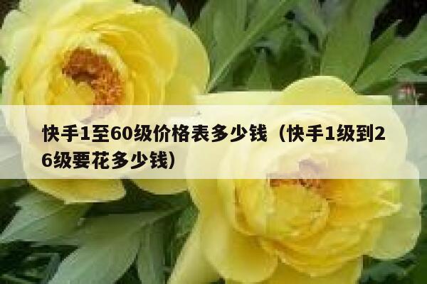 快手1至60级价格表多少钱（快手1级到26级要花多少钱） 第1张