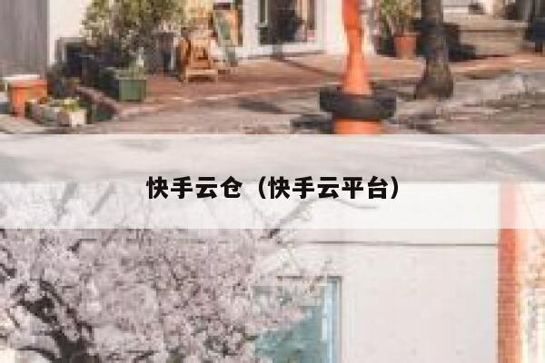 快手云仓（快手云平台） 第1张