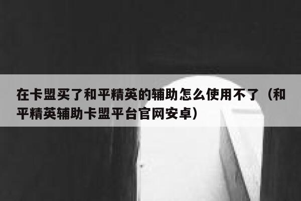 在卡盟买了和平精英的辅助怎么使用不了（和平精英辅助卡盟平台官网安卓） 第1张