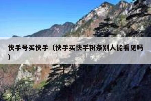 快手号买快手（快手买快手粉条别人能看见吗） 第1张