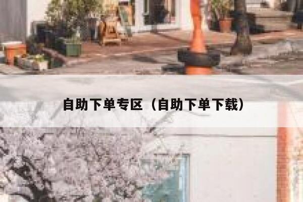 自助下单专区（自助下单下载） 第1张