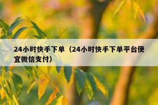 24小时快手下单（24小时快手下单平台便宜微信支付） 第1张