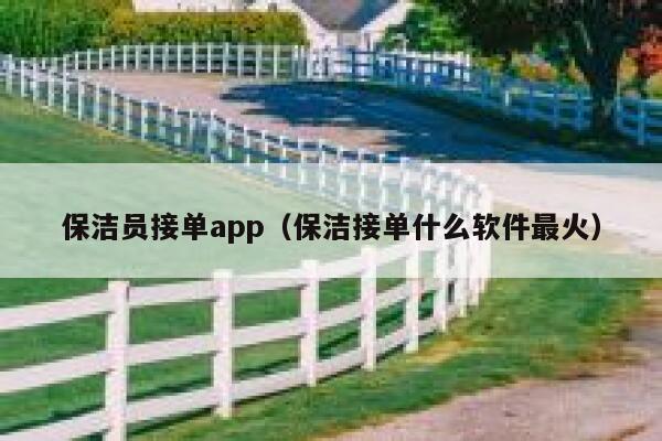 保洁员接单app（保洁接单什么软件最火） 第1张