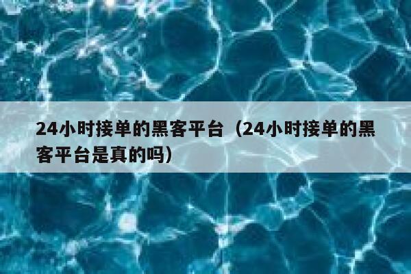 24小时接单的黑客平台（24小时接单的黑客平台是真的吗） 第1张