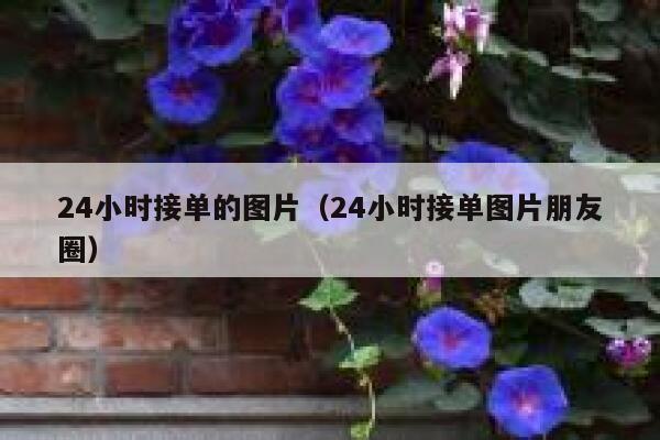 24小时接单的图片（24小时接单图片朋友圈） 第1张