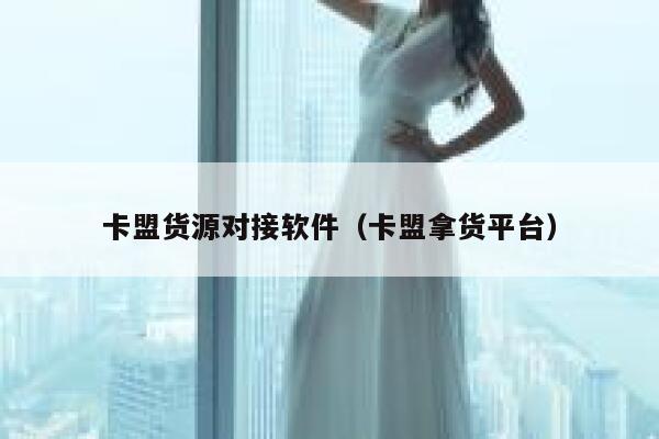 卡盟货源对接软件（卡盟拿货平台） 第1张