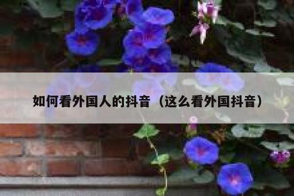 如何看外国人的抖音（这么看外国抖音） 第1张