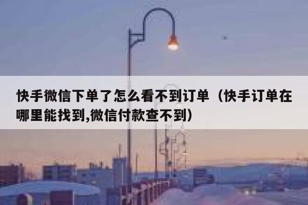 快手微信下单了怎么看不到订单（快手订单在哪里能找到,微信付款查不到） 第1张
