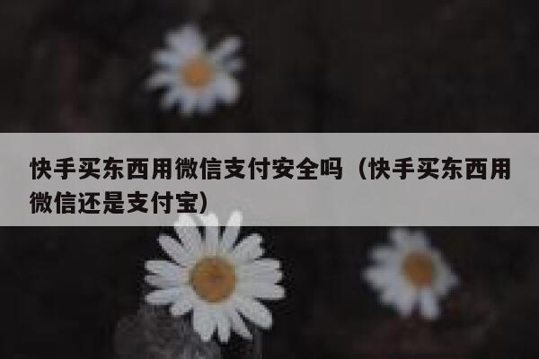 快手买东西用微信支付安全吗（快手买东西用微信还是支付宝） 第1张