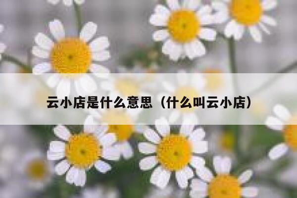 云小店是什么意思（什么叫云小店） 第1张