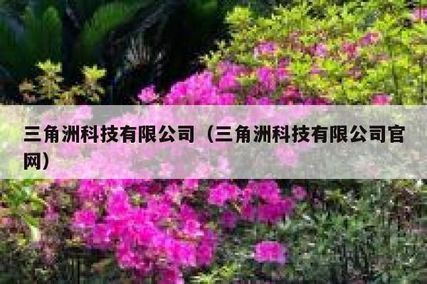 三角洲科技有限公司（三角洲科技有限公司官网） 第1张