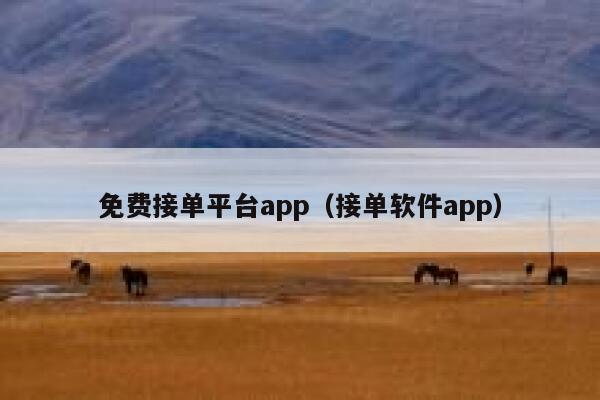 免费接单平台app（接单软件app） 第1张