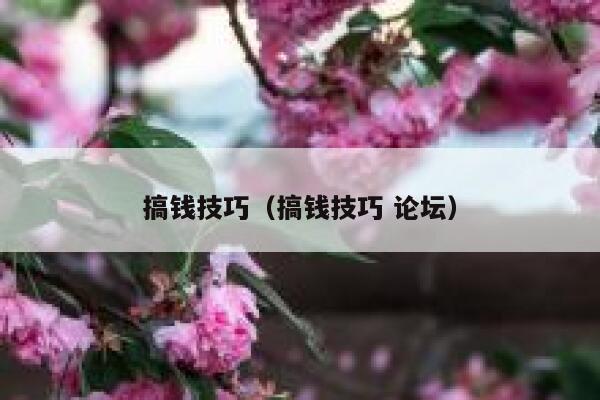 搞钱技巧（搞钱技巧 论坛） 第1张