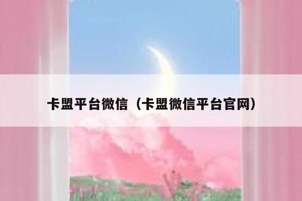 卡盟平台微信（卡盟微信平台官网） 第1张