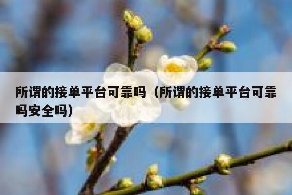 所谓的接单平台可靠吗（所谓的接单平台可靠吗安全吗） 第1张
