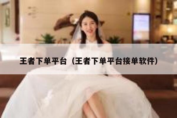 王者下单平台（王者下单平台接单软件） 第1张