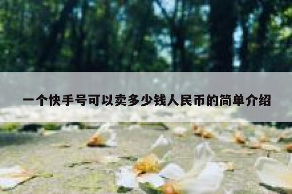 一个快手号可以卖多少钱人民币的简单介绍 第1张