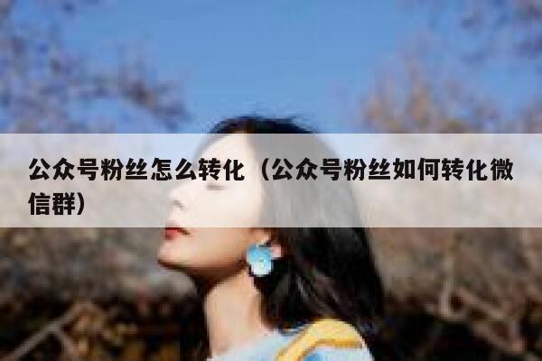 公众号粉丝怎么转化（公众号粉丝如何转化微信群） 第1张