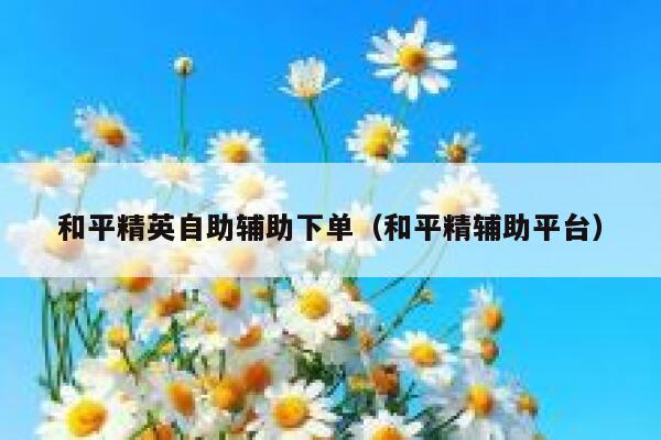 和平精英自助辅助下单（和平精辅助平台） 第1张