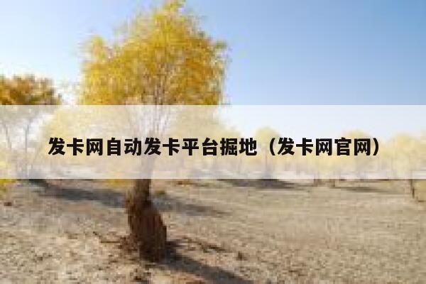 发卡网自动发卡平台掘地（发卡网官网） 第1张