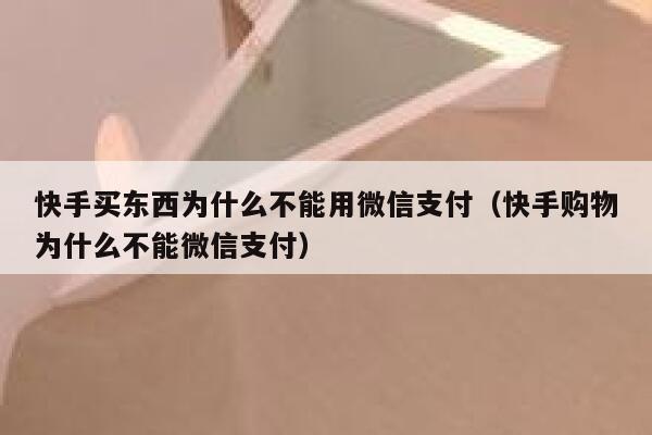 快手买东西为什么不能用微信支付（快手购物为什么不能微信支付） 第1张