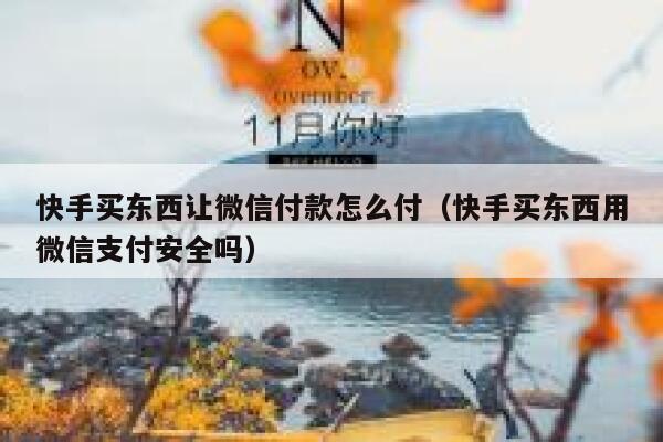 快手买东西让微信付款怎么付(快手买东西用微信支付安全吗) 第1张 快手买东西让微信付款怎么付(快手买东西用微信支付安全吗) 第1张