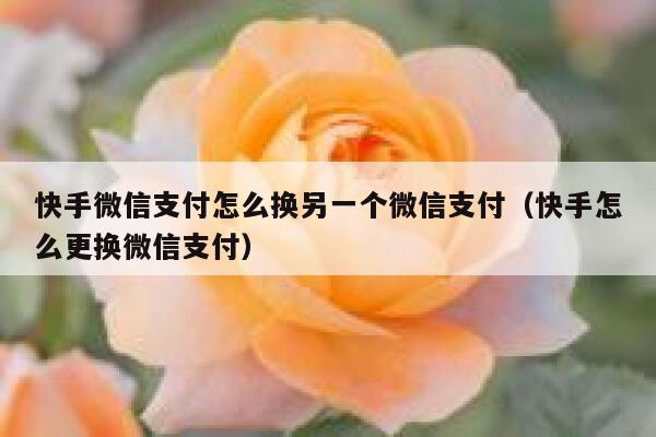 快手微信支付怎么换另一个微信支付（快手怎么更换微信支付） 第1张
