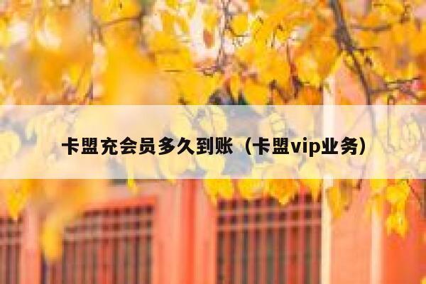 卡盟充会员多久到账（卡盟vip业务） 第1张