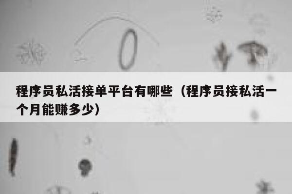 程序员私活接单平台有哪些（程序员接私活一个月能赚多少） 第1张