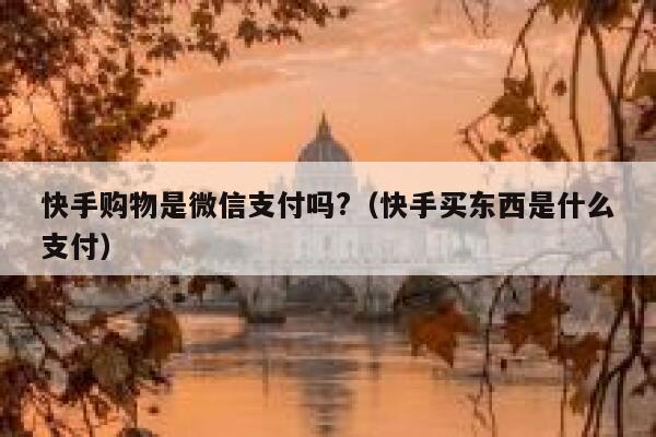 快手购物是微信支付吗?（快手买东西是什么支付） 第1张