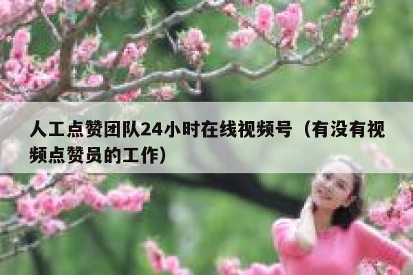 人工点赞团队24小时在线视频号（有没有视频点赞员的工作） 第1张