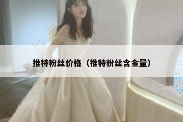 推特粉丝价格（推特粉丝含金量） 第1张