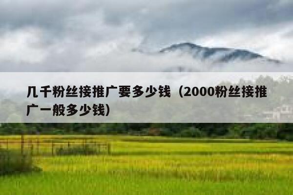 几千粉丝接推广要多少钱（2000粉丝接推广一般多少钱） 第1张