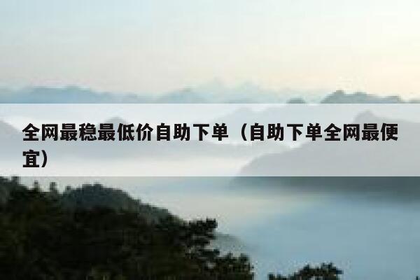 全网最稳最低价自助下单（自助下单全网最便宜） 第1张