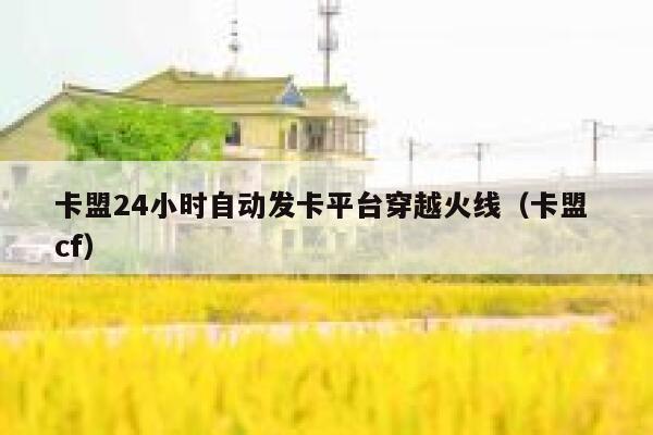 卡盟24小时自动发卡平台穿越火线（卡盟 cf） 第1张