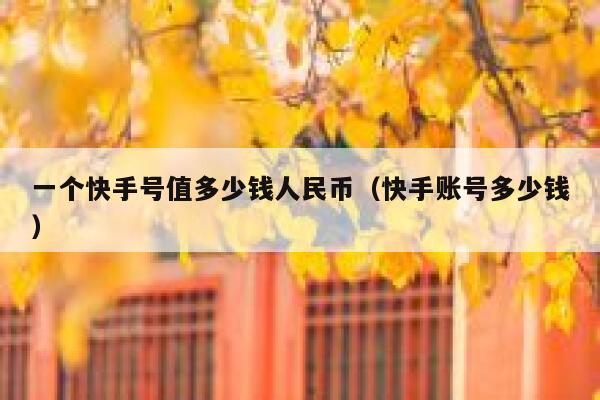 一个快手号值多少钱人民币（快手账号多少钱） 第1张