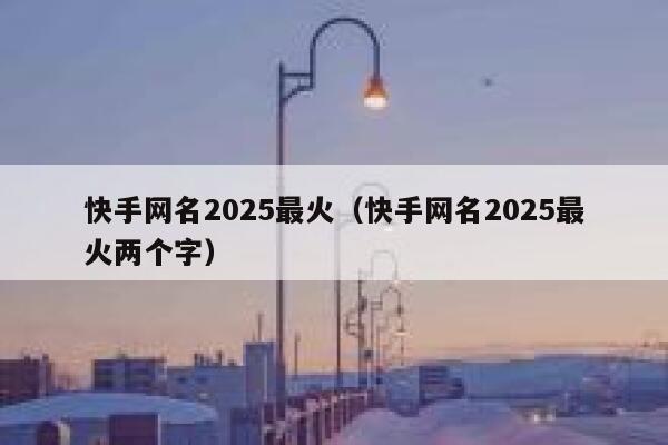 快手网名2025最火（快手网名2025最火两个字） 第1张