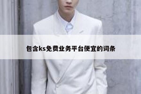 包含ks免费业务平台便宜的词条 第1张